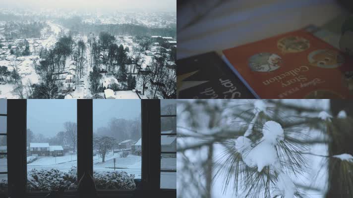 下雪雪景，城市雪景，农村雪景