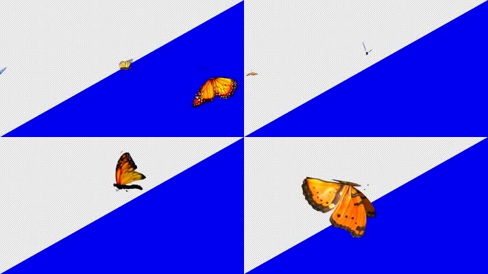 5组透明遮罩单飞的蝴蝶