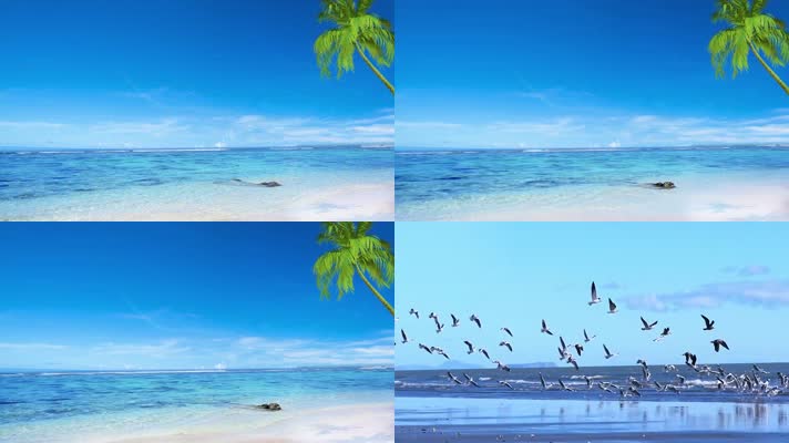 蓝天白云大海沙滩休闲度假旅游风景