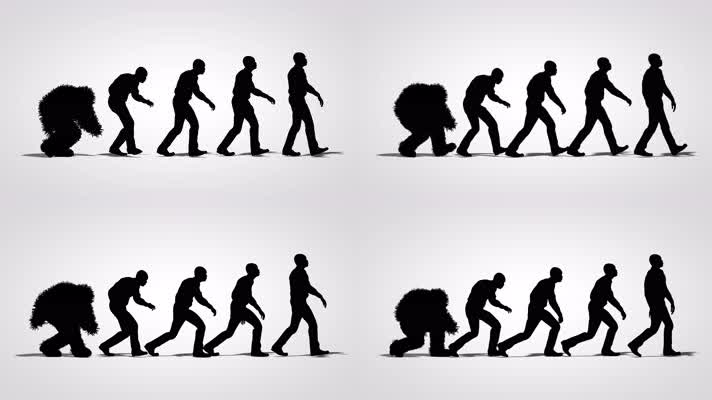 人类进化史剪影