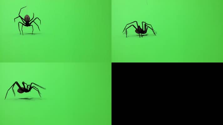 蜘蛛攻击绿屏