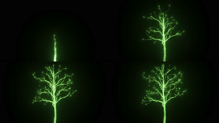 【4K】发光树生长