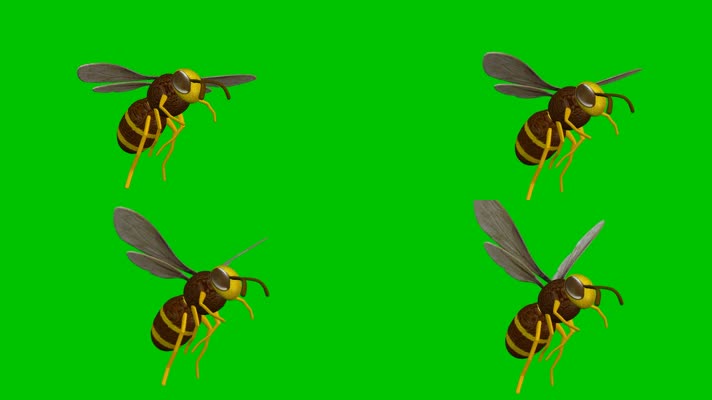蜜蜂飞舞 ，小蜜蜂飞舞，蜜蜂绿幕