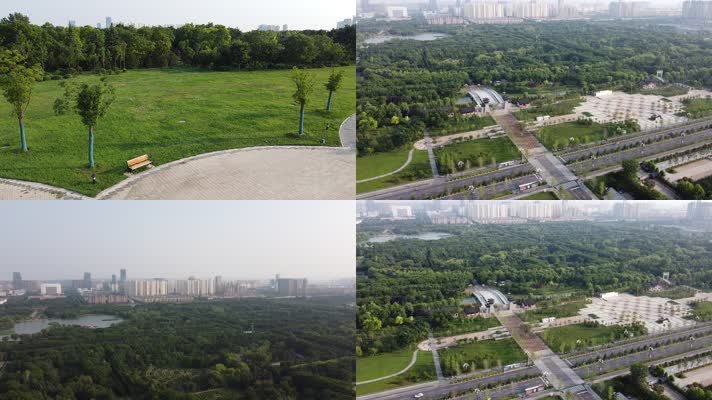 城市公园-隋唐公园-树林