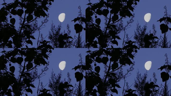 夜晚-晴空下的月亮