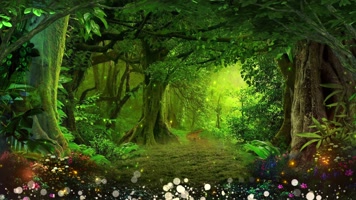 森林舞会背景图片