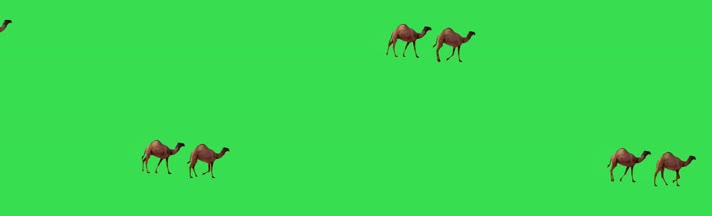 骆驼绿屏