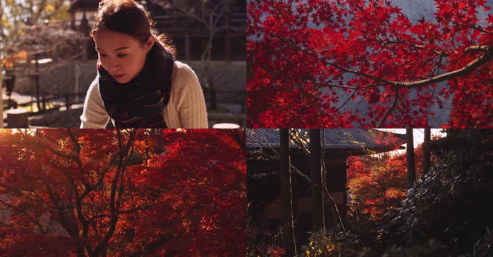 美女林中漫步，秋日风景