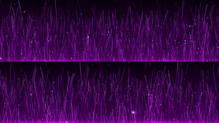 4K紫色粒子线条紫色背景
