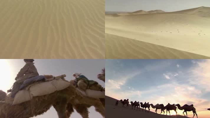 沙漠里骆驼商队
