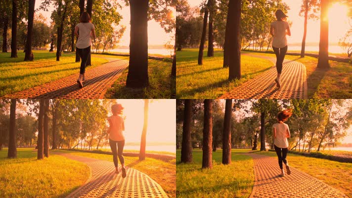 迎着着，日出阳光，跑步锻炼