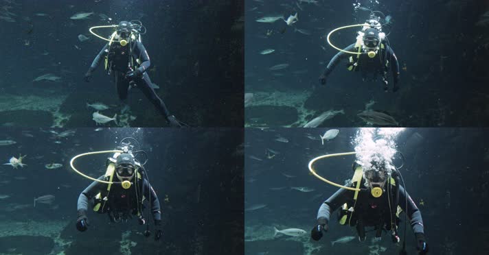 大海潜水，海底潜水，海底世界，海底摄影海