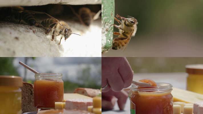 蜜蜂蜂蜜，纯天然蜂蜜