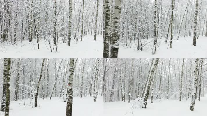 森林雪景，雪地行走，冬天行走雪地前行前进