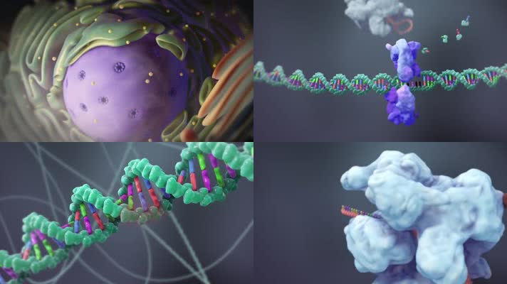 DNA基因医疗动画