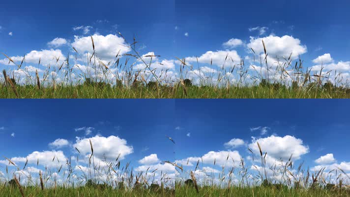 蓝天白云，草原绿色大自然