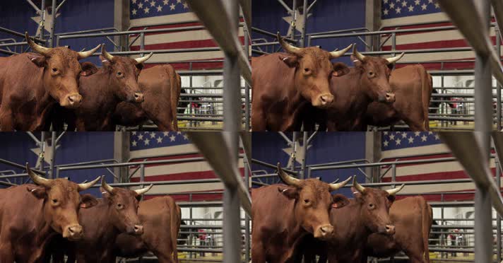 美国牛肉，美牛