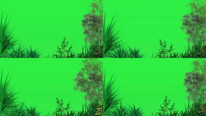 绿幕视频素材树林
