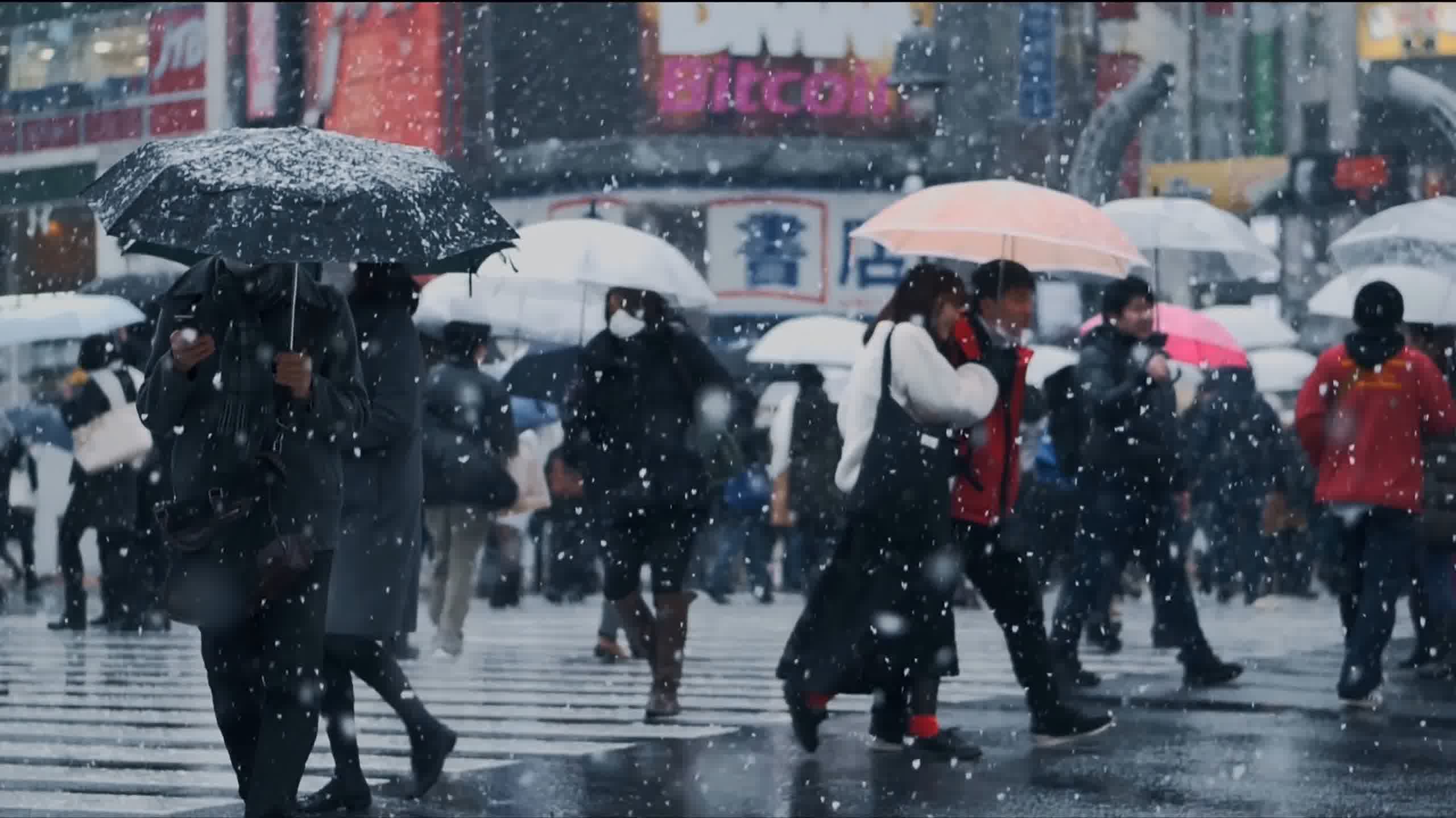 北京雪景视频素材-北京雪景实拍高清素材-凌点视频素材网