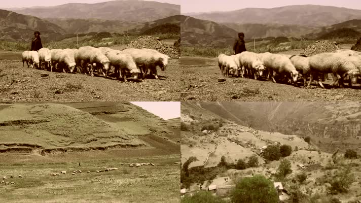 放羊贫困山区上世纪画面