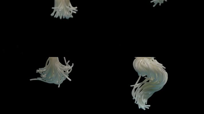 水中 跳舞的米粉 螺蛳粉 创意拍摄 