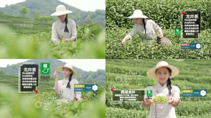 全息跟踪科技茶文化茶道