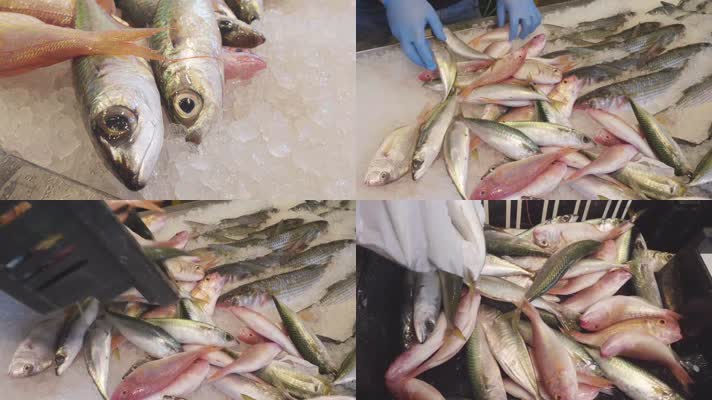 生鲜海鱼市场