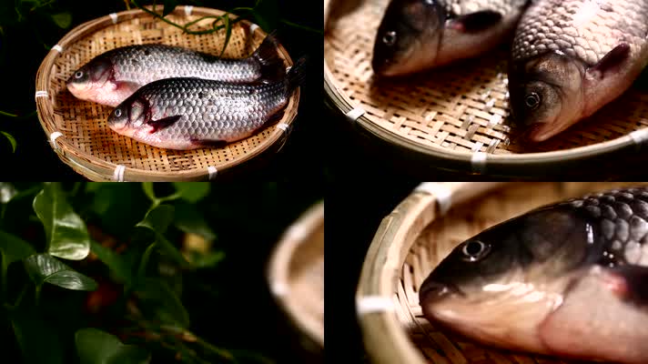 食品 食材 美食 鱼 鲫鱼 市场 鲤鱼 草鱼 活