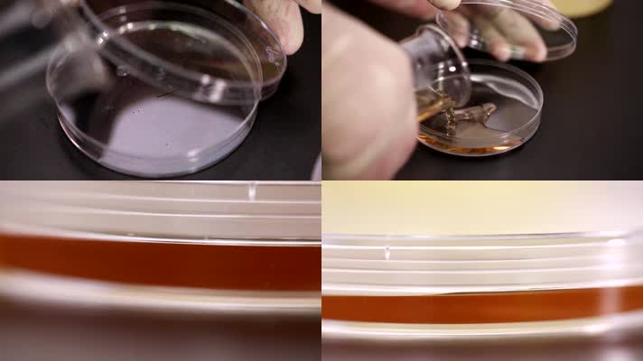 科学 检验 烧杯 细菌 培养 病菌 检测 试剂 