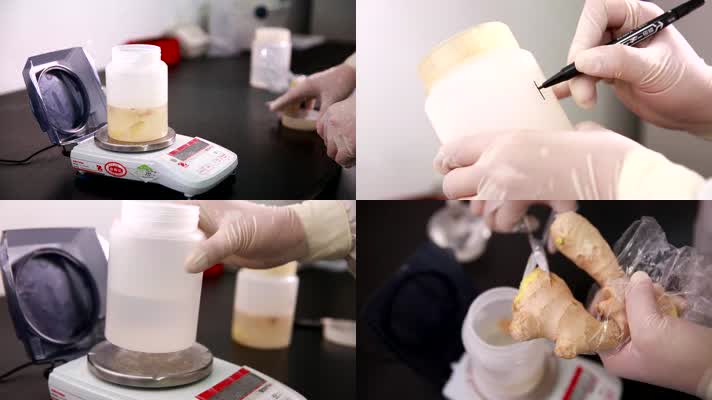 科学 检验 烧杯 细菌 培养 病菌 检测 试剂 