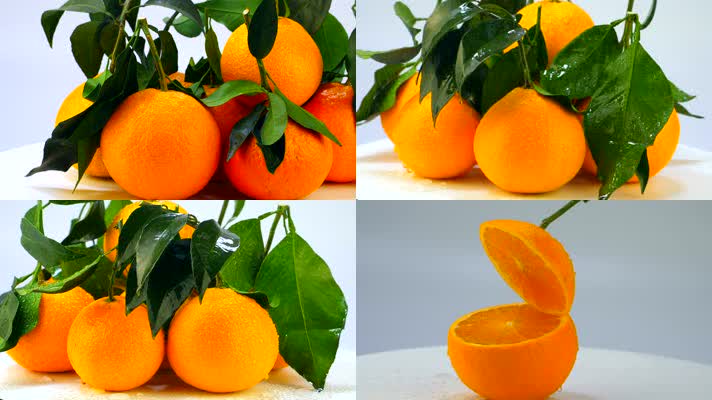 水果爱媛橙子