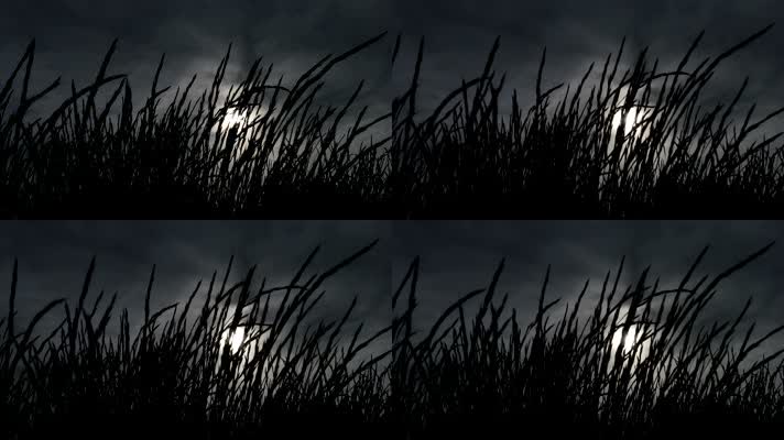 月黑风高，小草月亮，逆光剪影