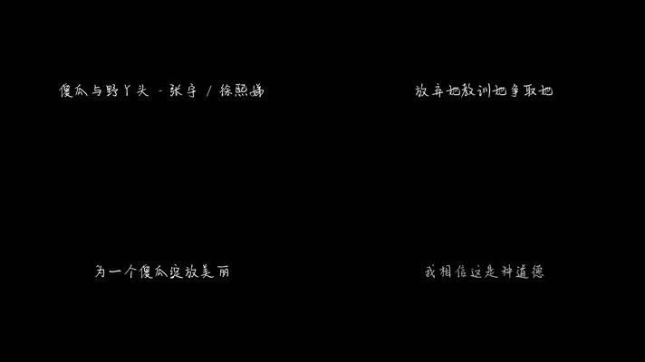 傻瓜与野丫头 - 张宇,徐熙娣（1080P）