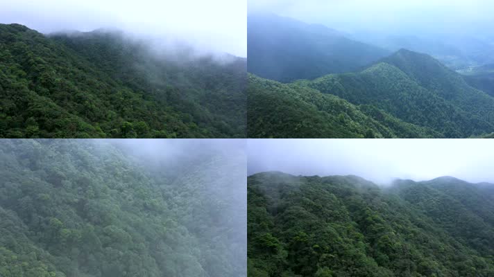 绿水青山云雾缭绕4K