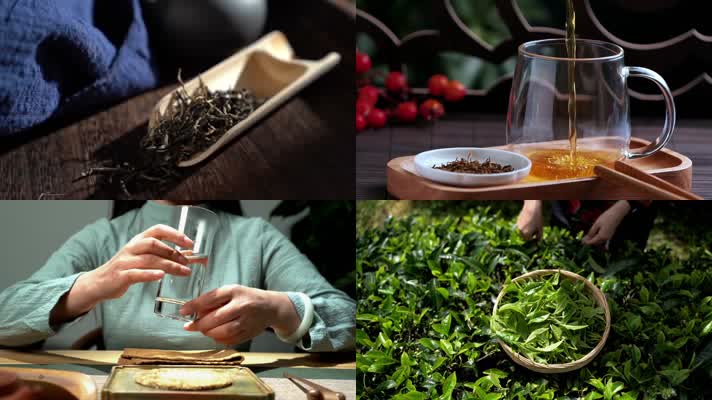 茶道茶文化沏茶宣传片