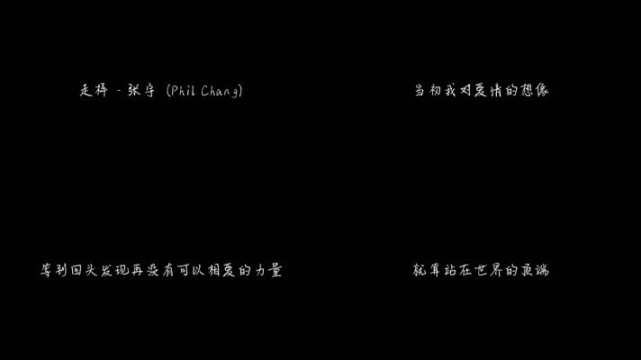 走样 - 张宇（1080P）