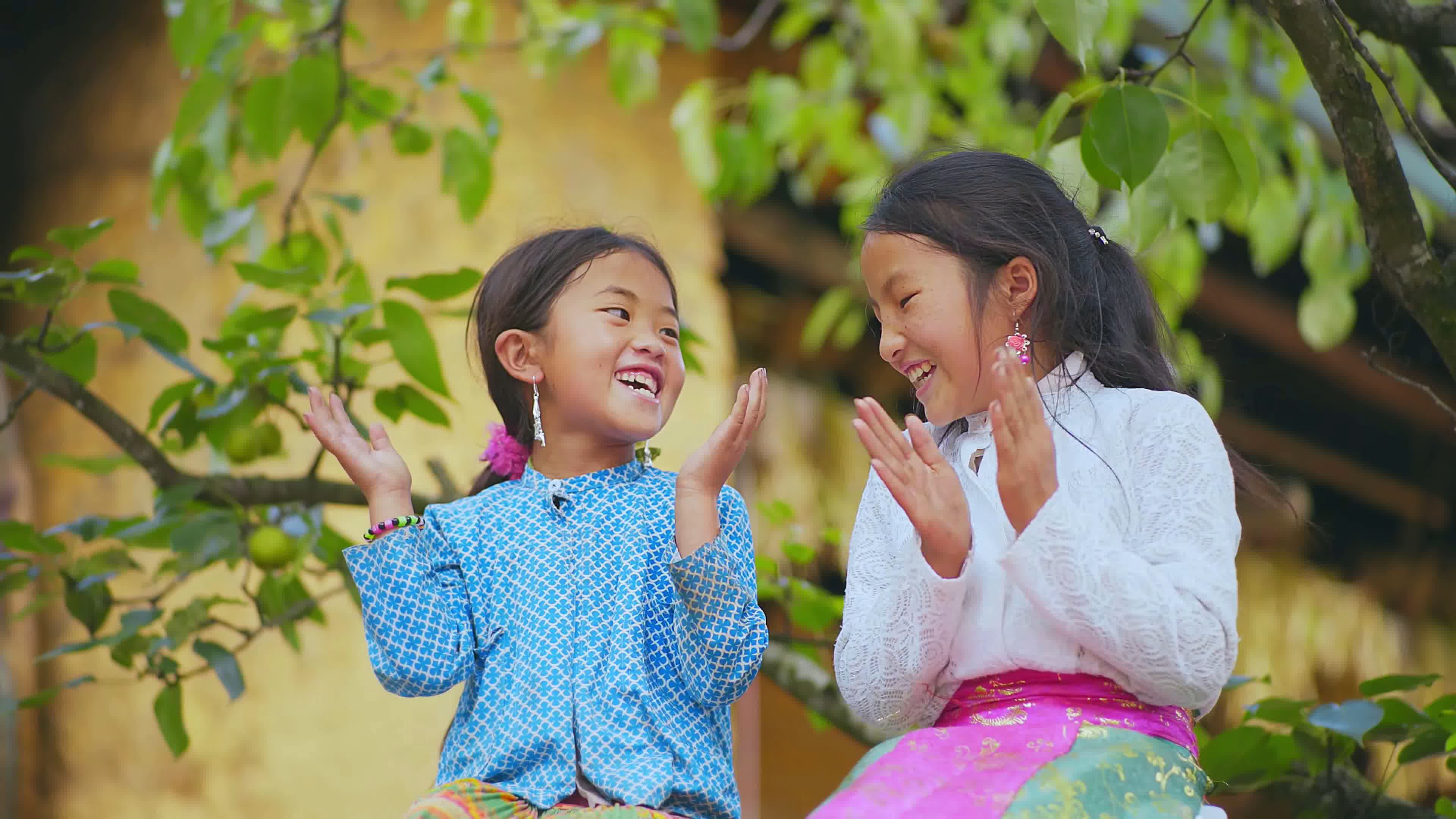 越南，水稻，年轻，女孩，照片预览 | 10wallpaper.com