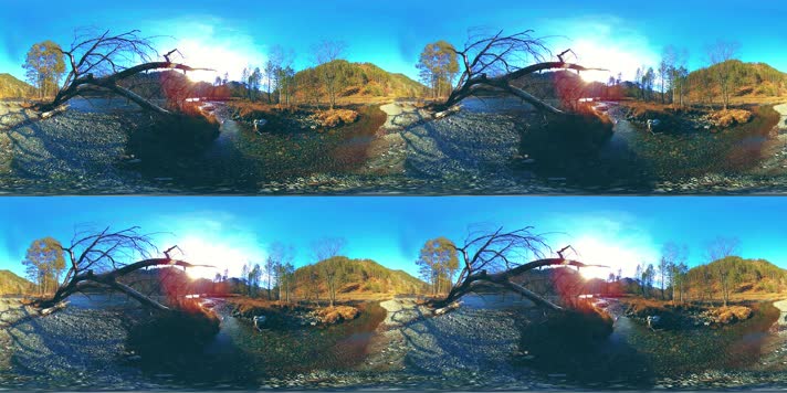 森林 VR360 虚拟现实  