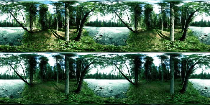 森林 风光 VR360 