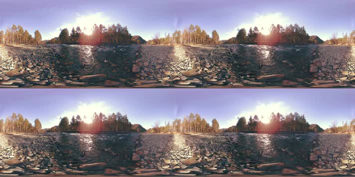 森林 VR360 虚拟现实  
