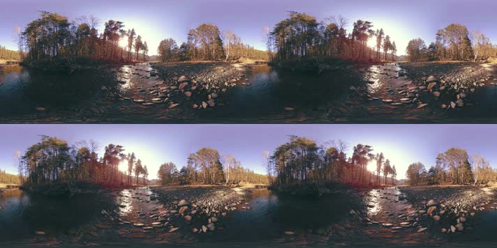 森林 风光 VR360  