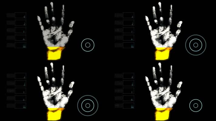 手掌生物特征扫描仪