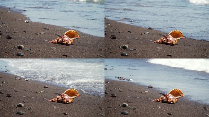 海边贝壳，海边空镜头写意大海沙滩海滩