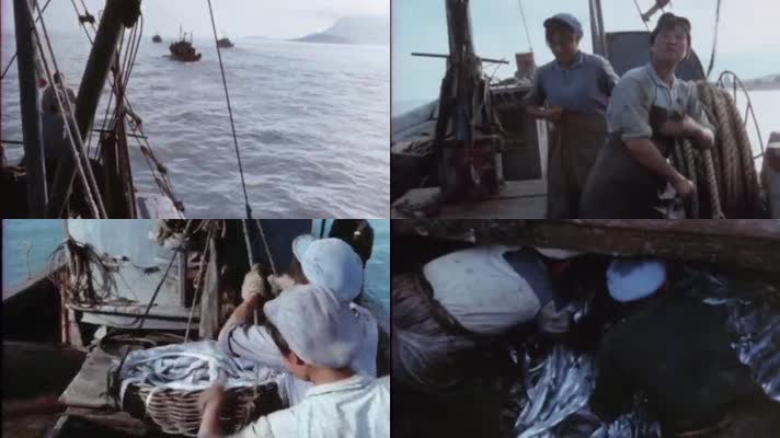 70年代海边渔民捕鱼船队