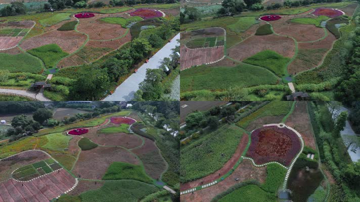 4k航拍深圳观澜版画村旁的绿地花园