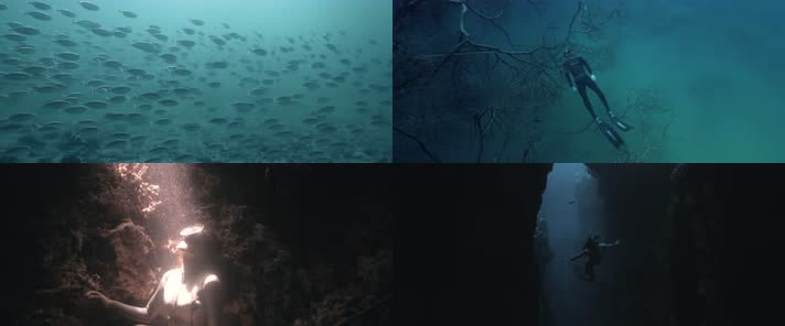 大海潜水，深海潜水，海底世界