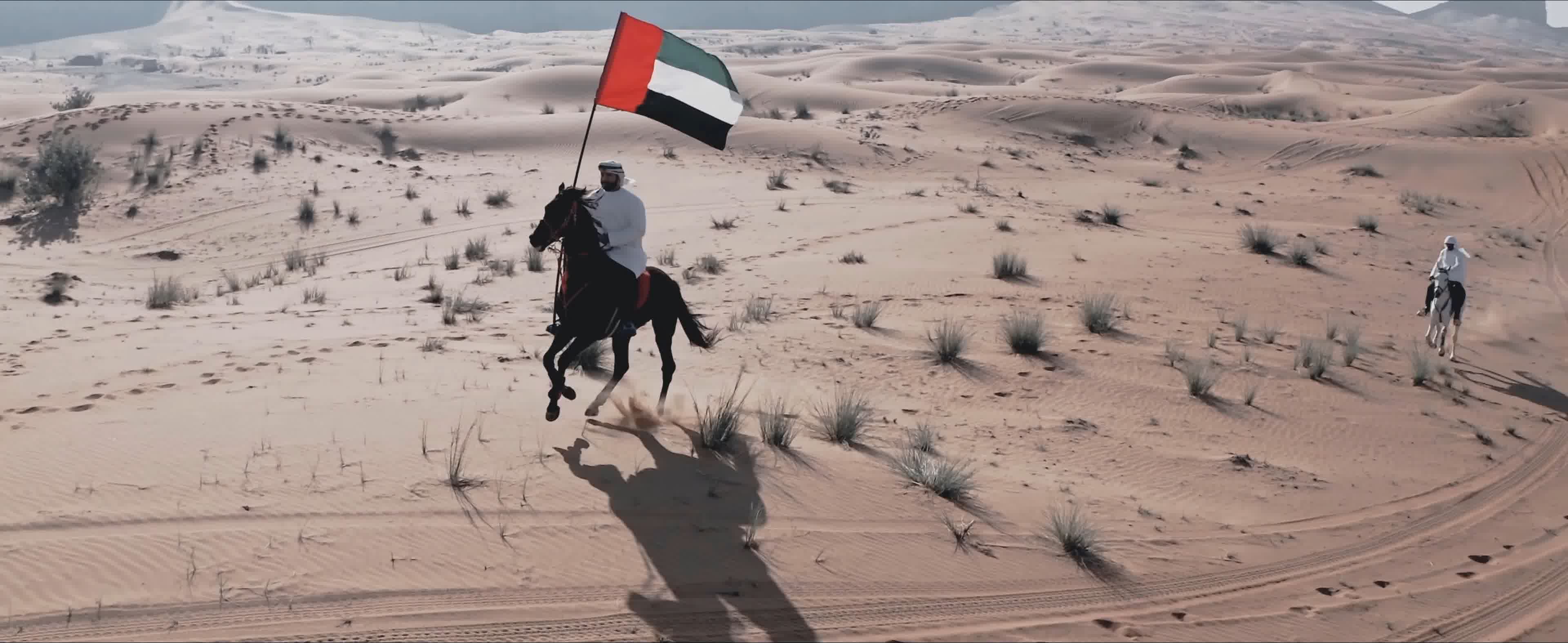 2020年1月10日，沙特阿拉伯阿布盖格的传统沙漠狩猎节上，沙特阿拉伯骑马者和马 编辑类照片 - 图片 包括有 æ™šä¸š, é¢œå…­è‰²: 192685256