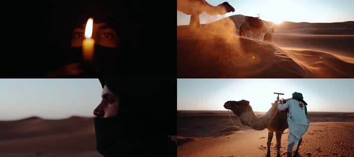 沙漠骆驼，阿拉伯，伊斯兰穆斯林