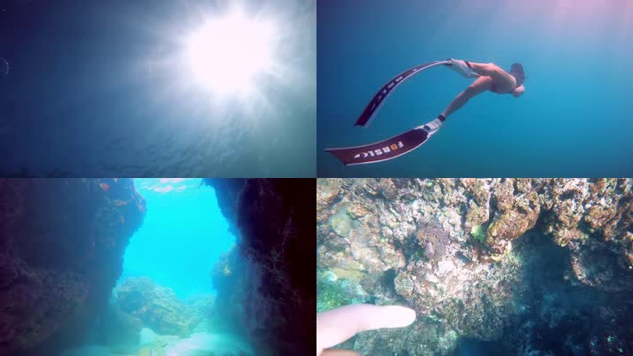 潜水，海底世界，海洋生物