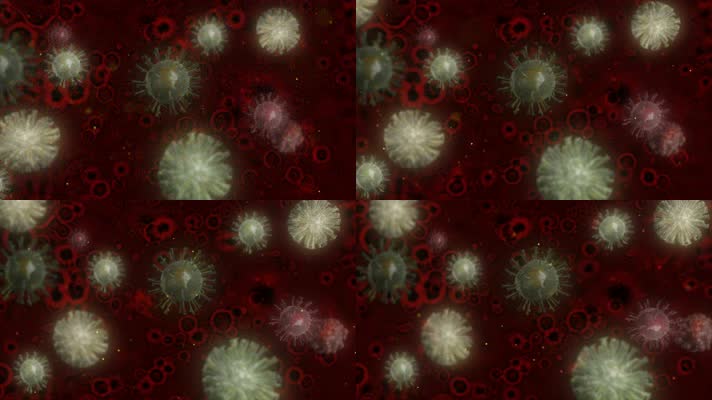 新型冠状病毒病毒细胞